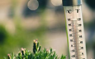 Canicule : ce qu'il faut faire (et éviter) pour protéger la nature
